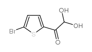 cas no 852619-28-4 is 5-Bromo-2-thiopheneglyoxal hydrate