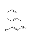 cas no 85304-03-6 is 2,4-Dimethylbenzohydrazide