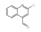 cas no 855613-24-0 is 2-CHLOROQUINOLINE-4-CARBOXALDEHYDE