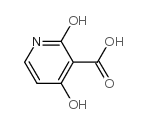 cas no 856214-16-9 is 2,4-dihydroxynicotinic acid