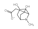 cas no 85644-59-3 is 3,6-Dihydroxy-8-methyl-8-azabicyclo[3.2.1]octane-6-acetate