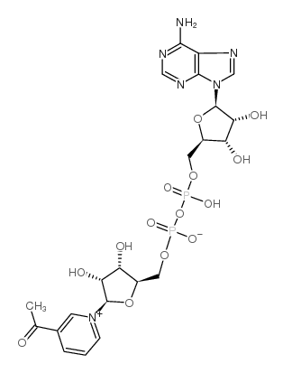 cas no 86-08-8 is 3-acetylpyridine adenine dinucleotide