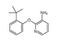 cas no 861673-68-9 is 2-(2-(tert-Butyl)phenoxy)pyridin-3-amine
