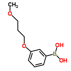 cas no 863252-62-4 is [3-(3-Methoxypropoxy)phenyl]boronic acid