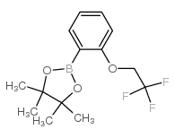 cas no 864754-11-0 is 4,4,5,5-TETRAMETHYL-2-[2-(2,2,2-TRIFLUORO-ETHOXY)-PHENYL]-[1,3,2]DIOXABOROLANE