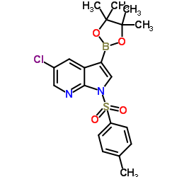 cas no 866546-11-4 is 5-CHLORO-3-(4,4,5,5-TETRAMETHYL-1,3,2-DIOXABOROLAN-2-YL)-1-TOSYL-1H-PYRROLO[2,3-B]PYRIDINE