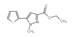 cas no 868755-60-6 is ETHYL 1-METHYL-5-THIEN-2-YL-1H-PYRAZOLE-3-CARBOXYLATE