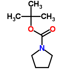 cas no 86953-79-9 is 2-Methyl-2-propanyl 1-pyrrolidinecarboxylate