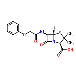 cas no 87-08-1 is Penicillin-V