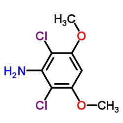 cas no 872509-56-3 is 2,6-Dichloro-3,5-dimethoxyaniline