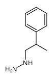 cas no 875-88-7 is (2-PHENYLPROPYL)HYDRAZINE