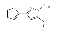 cas no 876316-96-0 is 5-(CHLOROMETHYL)-1-METHYL-3-THIEN-2-YL-1H-PYRAZOLE