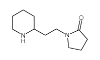 cas no 876710-79-1 is 1-(2-PIPERIDIN-2-YL-ETHYL)-PYRROLIDIN-2-ONE