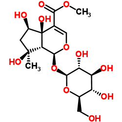 cas no 87797-84-0 is 6beta-Hydroxyipolamiide