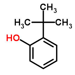 cas no 88-18-6 is 2-tert-Butylphenol