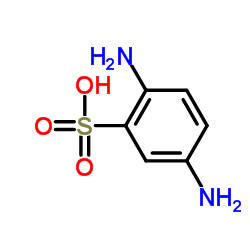 cas no 88-45-9 is 2,5-Diaminobenzenesulfonic acid