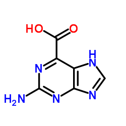 cas no 882213-41-4 is 9H-PURINE-6-CARBOXYLIC ACID,2-AMINO-