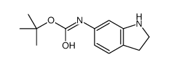 cas no 885270-09-7 is TERT-BUTYL INDOLIN-6-YLCARBAMATE