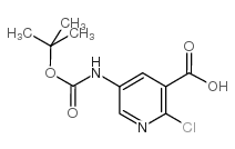 cas no 885277-14-5 is 5-tert-butoxycarbonylamino-2-chloro-nicotinic acid