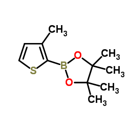 cas no 885692-91-1 is 3-Methylthiophene-2-boronic acid pinacol ester