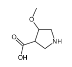 cas no 885953-25-3 is 4-methoxypyrrolidine-3-carboxylic acid
