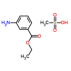cas no 886-86-2 is Tricaine methanesulfonate