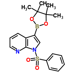 cas no 886547-94-0 is 1-(Phenylsulfonyl)-3-(4,4,5,5-tetramethyl-1,3,2-dioxaborolan-2-yl)pyrrolo[2,3-b]pyridine