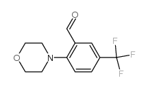 cas no 886851-50-9 is 2-MORPHOLINO-5-(TRIFLUOROMETHYL)BENZALDEHYDE