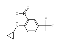 cas no 887351-41-9 is N-Cyclopropyl-2-nitro-4-(trifluoromethyl)aniline