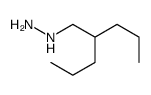 cas no 887591-75-5 is (2-PHENYL-PROPYL)-HYDRAZINE