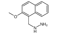 cas no 887592-83-8 is (2-METHOXY-BENZYL)-THIOUREA