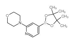cas no 888721-86-6 is 4-[4-(4,4,5,5-tetramethyl-1,3,2-dioxaborolan-2-yl)pyridin-2-yl]morpholine