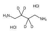cas no 88972-24-1 is 2,2,3,3-tetradeuteriobutane-1,4-diamine,dihydrochloride