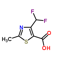 cas no 891487-47-1 is 2-Methyl-4-(difluoromethyl)-1,3-thiazole-5-carboxylic acid
