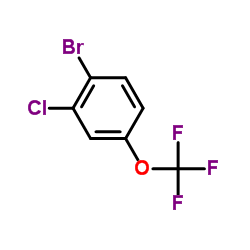 cas no 892845-59-9 is 1-Bromo-2-chloro-4-(trifluoromethoxy)benzene