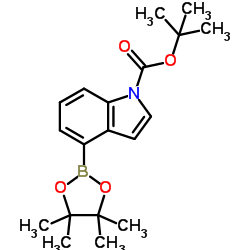 cas no 893441-86-6 is 1-Boc-indole-4-boronic Acid Pinacol Ester