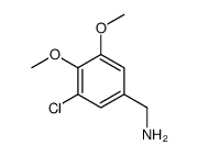 cas no 893725-10-5 is 3-CHLORO-4,5-DIMETHOXYBENZENEMETHANAMINE