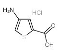 cas no 89499-33-2 is 4-Amino-2-thiophenecarboxylic acid hydrochloride