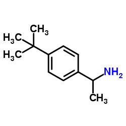 cas no 89538-65-8 is 1-(4-tert-Butylphenyl)ethanamine