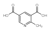 cas no 89942-70-1 is 2-Methylpyridine-3,5-dicarboxylic Acid