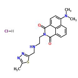 cas no 9001-06-3 is Chitinase
