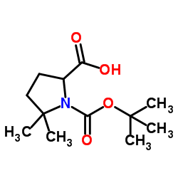 cas no 900158-99-8 is Boc-5,5-dimethyl-DL-Pro-OH