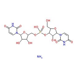 cas no 9002-12-4 is uricase