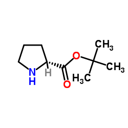 cas no 90071-62-8 is D-Proline tert-butyl ester