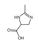 cas no 902771-01-1 is 2-methyl-4,5-dihydro-1H-imidazole-5-carboxylic acid