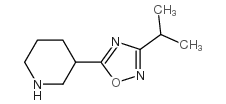 cas no 902837-19-8 is 3-(3-Isopropyl-1,2,4-oxadiazol-5-yl)piperidine
