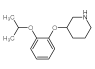 cas no 902837-37-0 is 3-(2-Isopropoxyphenoxy)piperidine