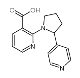 cas no 904816-93-9 is 2-(2-pyridin-4-ylpyrrolidin-1-yl)pyridine-3-carboxylic acid