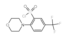 cas no 906352-76-9 is 2-morpholin-4-yl-5-(trifluoromethyl)benzenesulfonyl chloride