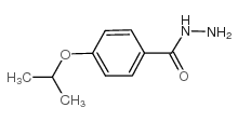cas no 90873-17-9 is 4-propan-2-yloxybenzohydrazide